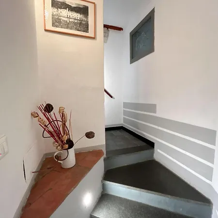 Guest house Jolly Roger 4*